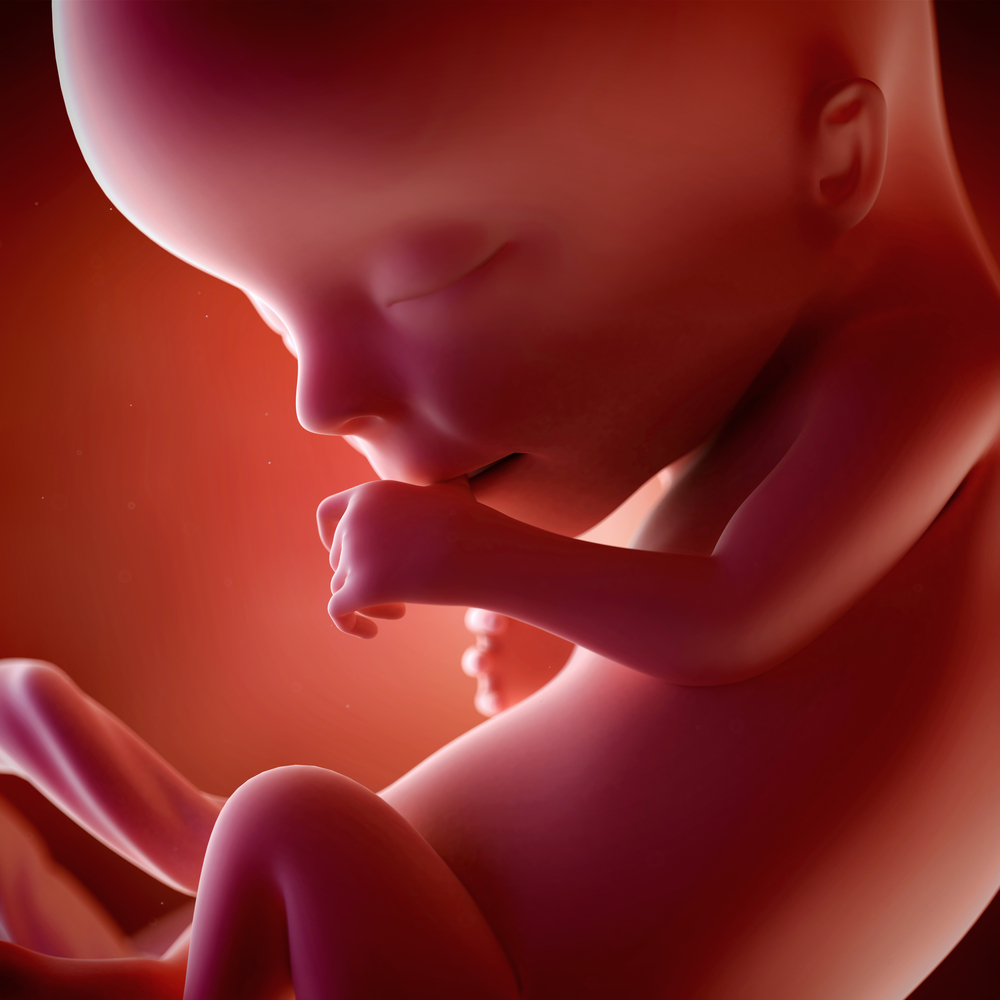 សប្តាហ៍ទី ១៣៖ កាន់តែធំ អាអូនចាប់ផ្តើមចេះដាក់ដៃចូលក្នុងមាត់ហើយ