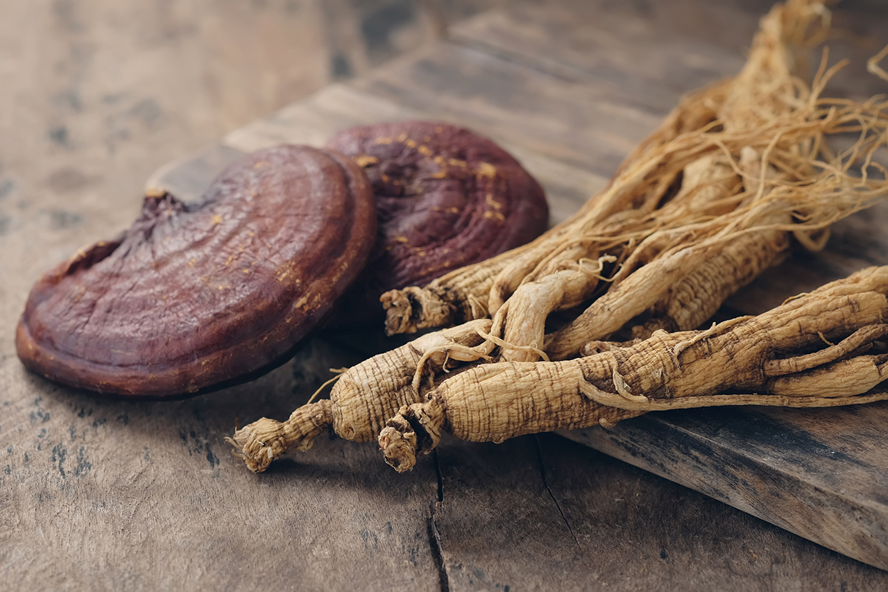 Panax ginseng (យិនសិនប៉ាណាក់)