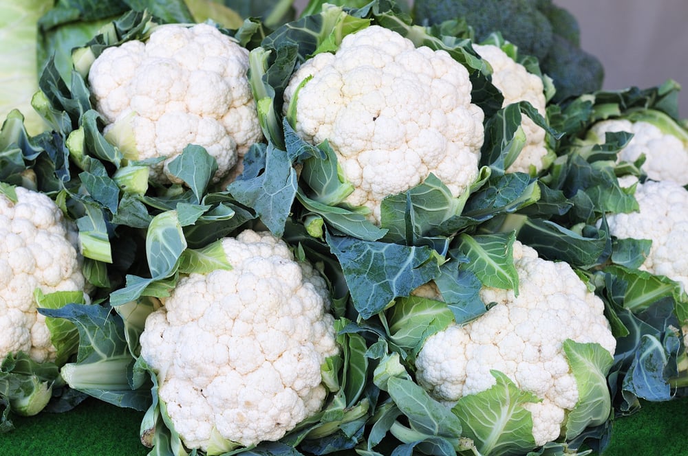 Cauliflower (ផ្កាខាត់ណា)