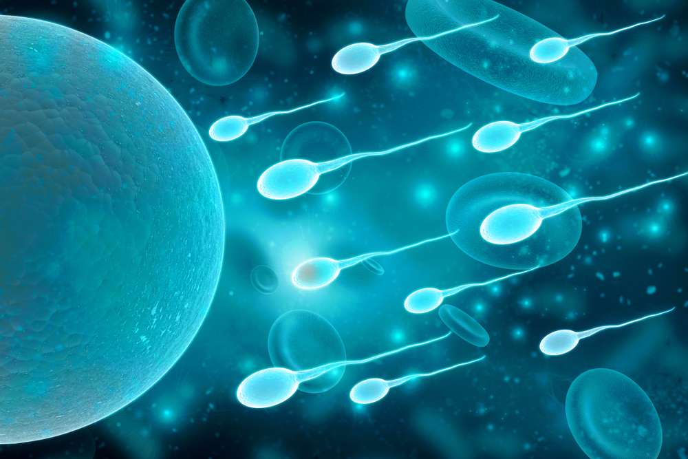 មន្ត្រីសុខាភិបាលចិនជឿថា​វីរុស Covid-19 ​អាច​មាន​សមត្ថភាពបំផ្លាញ​មេ​ជីវិត​ឈ្មោល