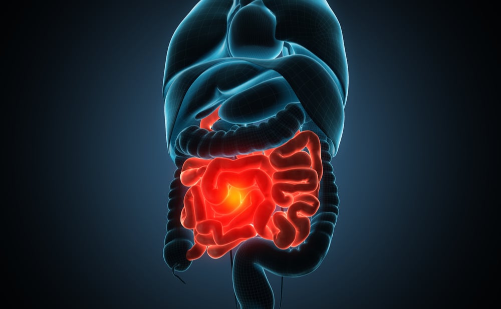 Chronic Gastritis (ជំងឺរលាកក្រពះរ៉ាំរ៉ៃ)