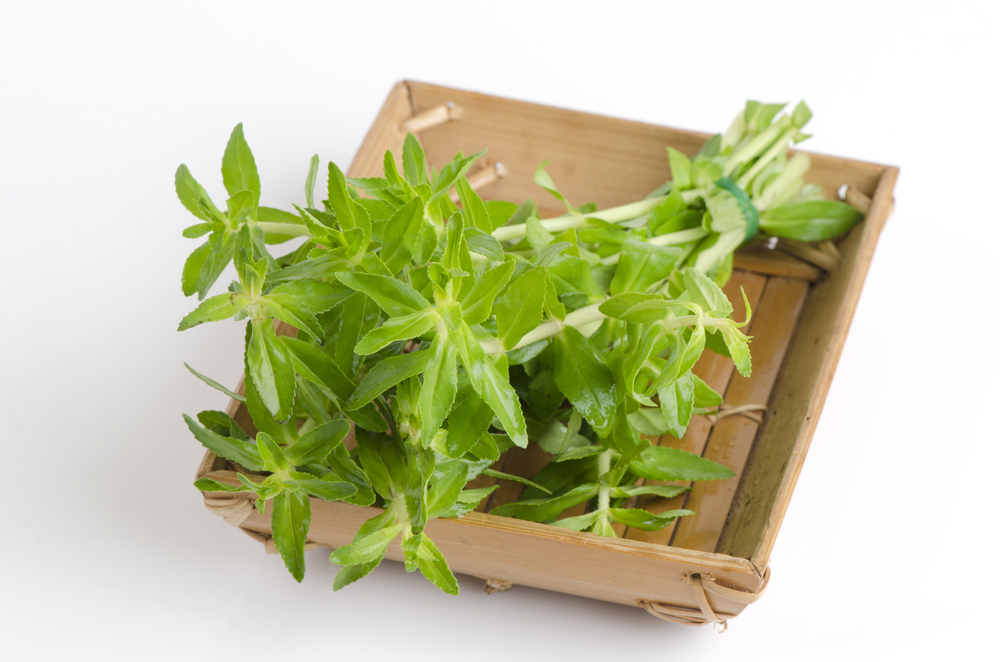 Rice Paddy Herb (ម្អម)