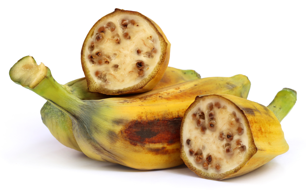 Wild Type Banana (ចេកជ្វា)