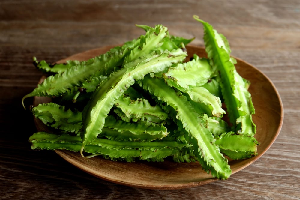 Winged bean (ពពាយ​ជ្រុង)