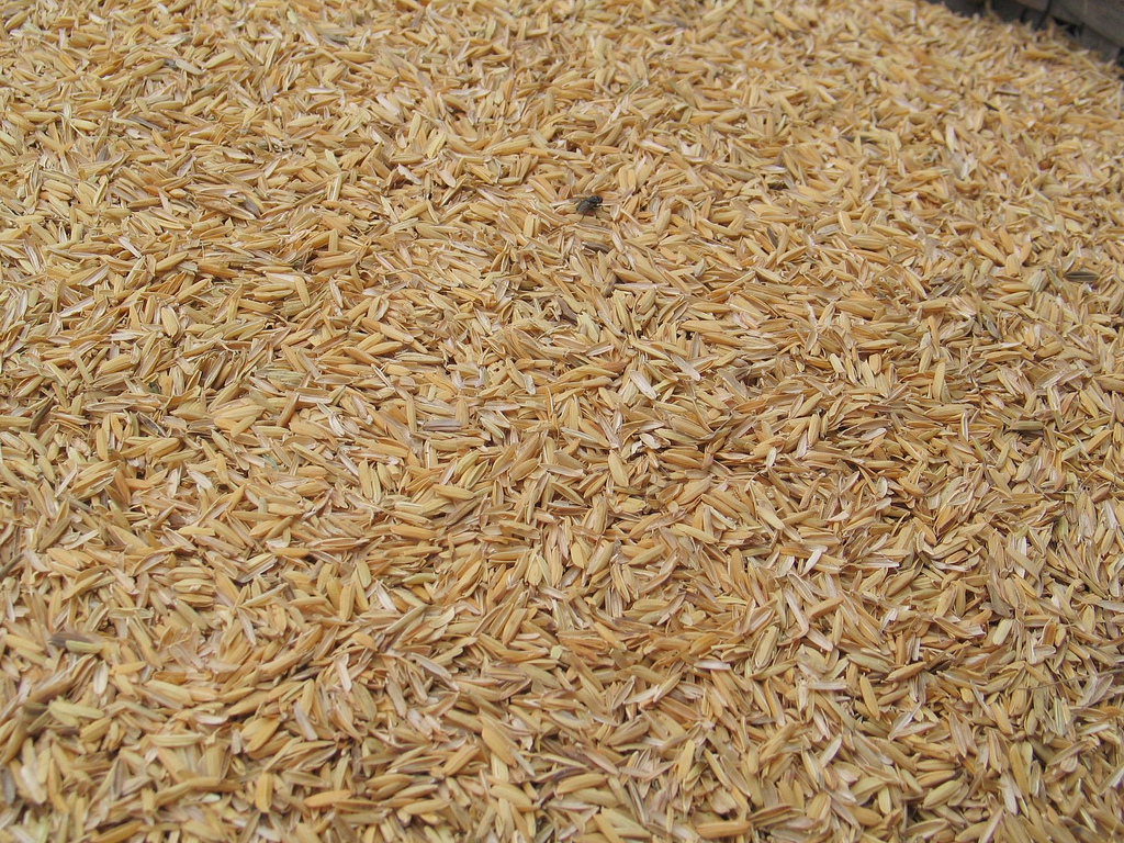 អ្នកវិទ្យាសាស្ត្រ​វៀតណាម រកឃើញ​សមាសធាតុ​ជីវៈ​សកម្ម ក្នុង​សំបក​ស្រូវ