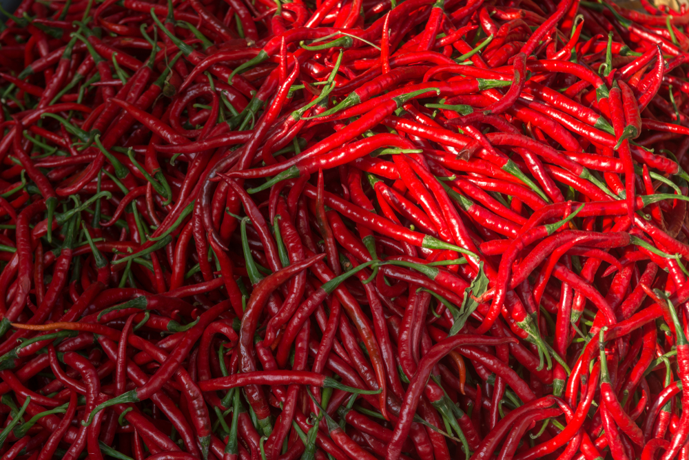 ម៉ាឡេស៊ី ឈប់នាំចូលម្ទេសវៀតណាមហើយ ដោយសារថ្នាំពុលខ្លាំងពេក