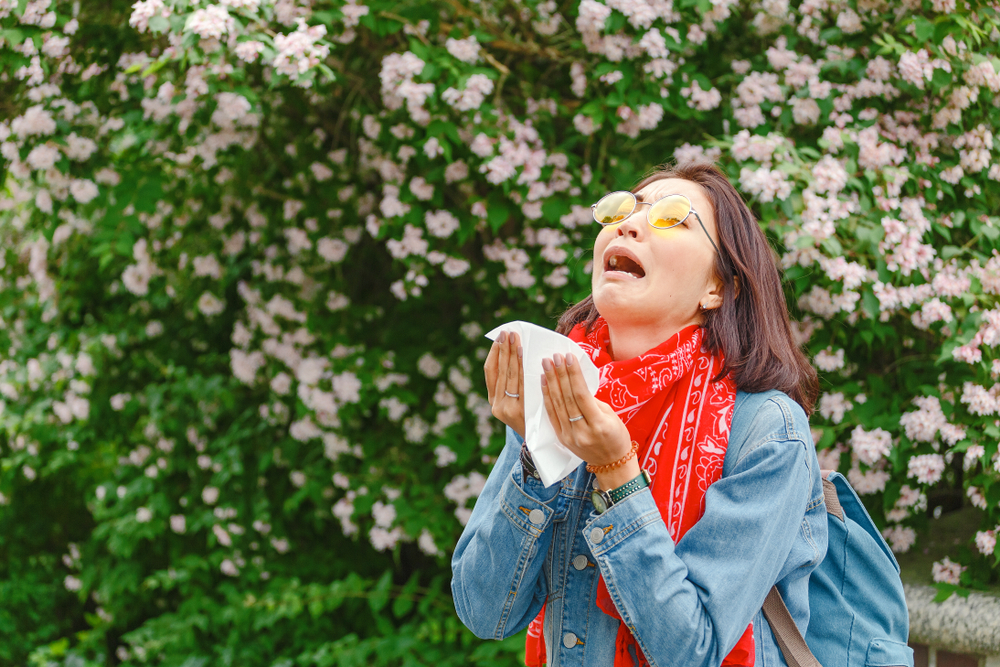 Allergic Rhinitis (ជំងឺ រលាក​ច្រមុះ​ដោយសារ​អាល្លែកហ្ស៊ី)