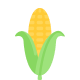សប្ដាហ៍ទី២៤