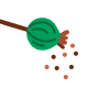 សប្ដាហ៍ទី៤