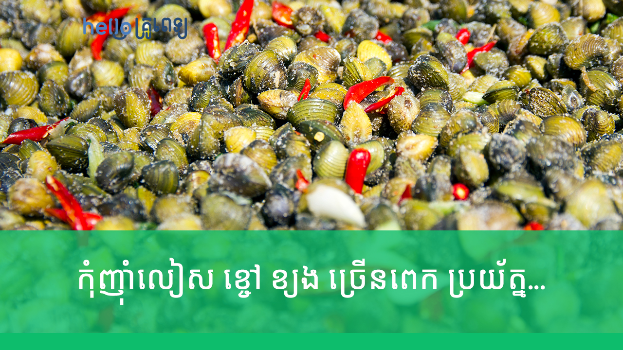 កុំ​ចូលចិត្ត​ញ៉ាំ​លៀស ខ្ចៅ ខ្យង ពេក ព្រោះ​អាច​ឆ្លង​សត្វ​ល្អិត​ទៅ​ក្នុង​ពោះវៀន (វីដេអូ)