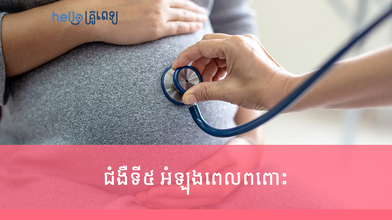 ជំងឺទី៥ អំឡុងពេលពពោះ (Parvovirus B19) ជាអ្វី ហើយគ្រោះថ្នាក់ដែរអត់? (វីដេអូ)