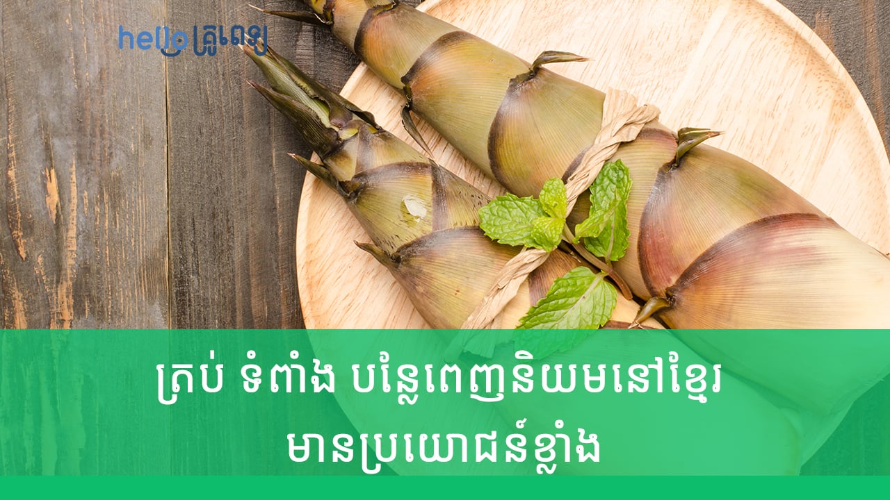 ត្រប់ ទំពាំង បន្លែពេញនិយមនៅខ្មែរ មានប្រយោជន៍ខ្លាំង (វីដេអូ)