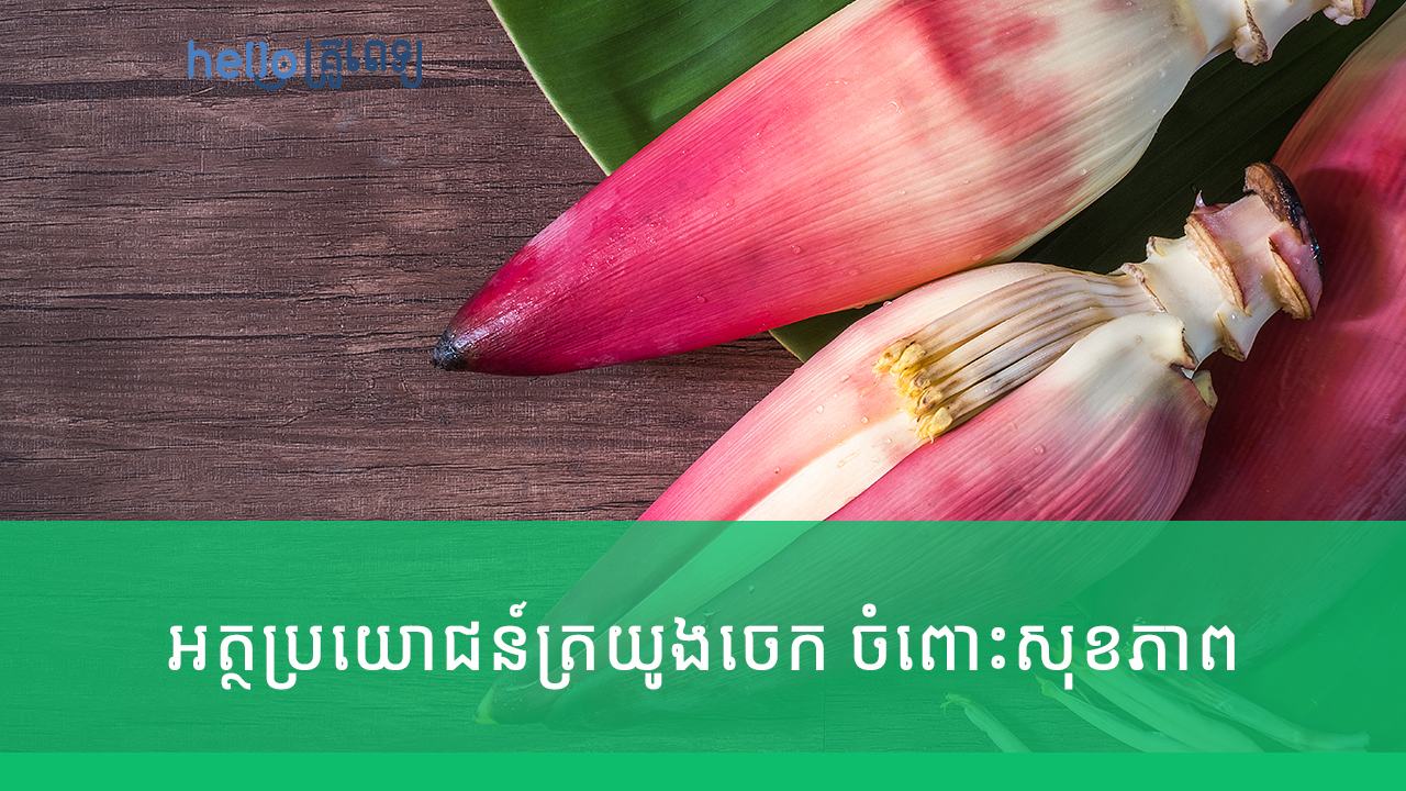 អត្ថប្រយោជន៍ត្រយូងចេក ចំពោះសុខភាព (វីដេអូ)