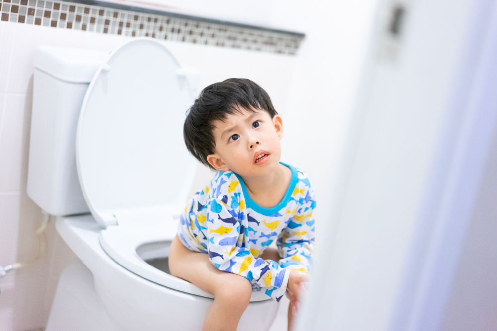 បារម្ភខ្លាចកូន មិនចេះជុះលើបង្គន់ ម៉ាក់ប៉ាអាចសាកល្បងបង្រៀនកូនតាមតិចនិកនេះ