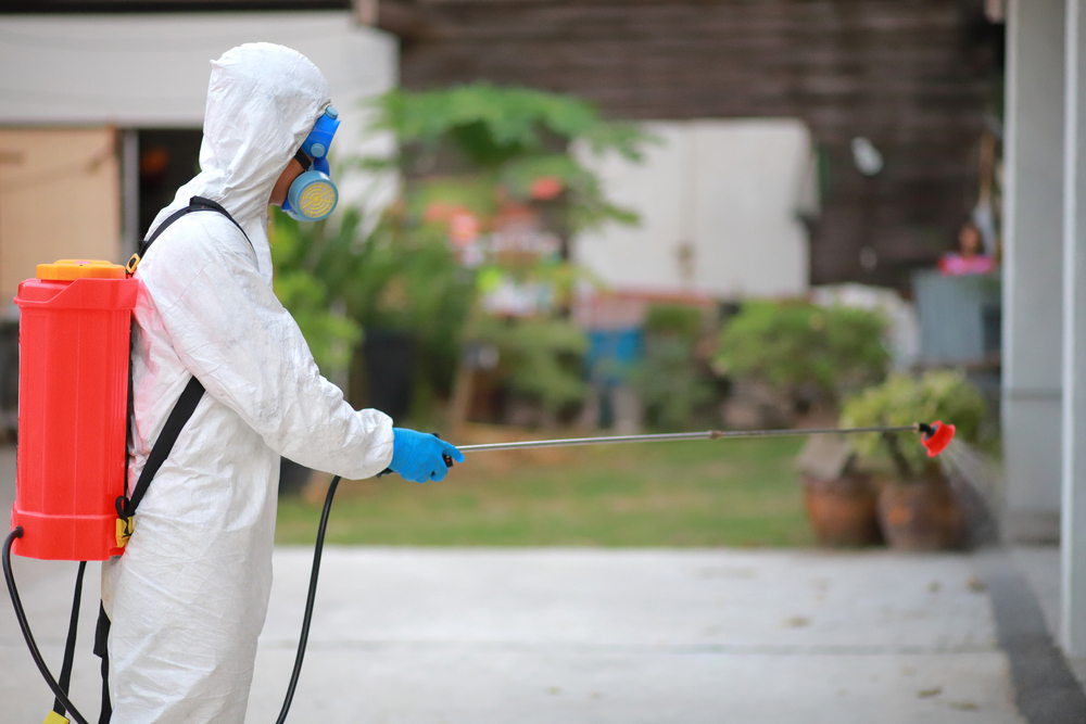 តំបន់ស្វយ័តមួយ​របស់​ចិនព្រមានពីករណីសង្ស័យមាន​ឆ្លងជំងឺអាសន្នរោគ Bubonic