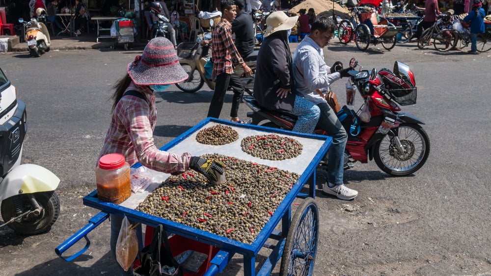 អ្នកចូលចិត្តញ៉ាំលៀសហាល ប្រយ័ត្នគ្រុនពោះវៀន