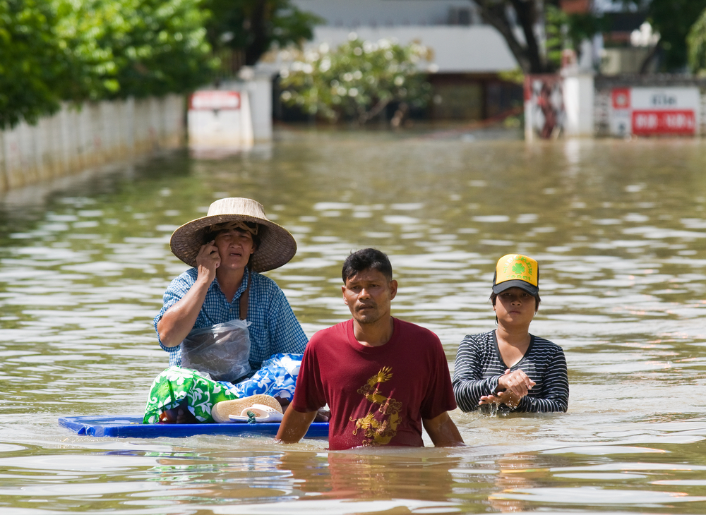 ទឹកជំនន់​ សូមប្រយ័ត្នពស់ពិសទាំង ១២ ប្រភេទនេះ និងត្រូវដឹងរបៀបសង្គ្រោះបឋម