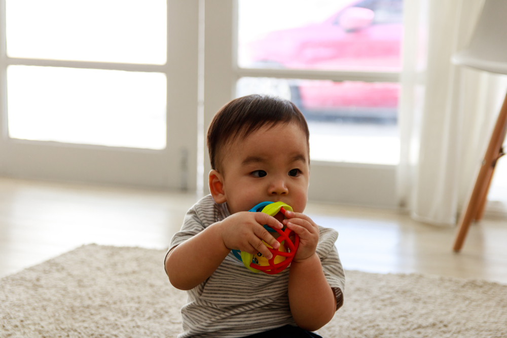 ខែទី ១២៖ អាអូន​រៀន​ដើរ ហើយ​​លូត​លាស់អី​ខ្លះ​?