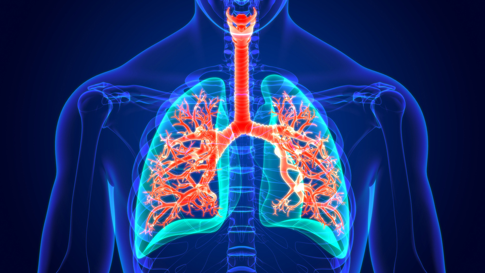 បង្ការ​ជំងឺ​ប្រព័ន្ធ​ផ្លូវ​ដង្ហើម ដោយ​​អនុវត្ត​វិធីសាស្ត្រ​ទាំង​៤​នេះ​​​​​​​​​​​​​​​​​​​​​​​​​​​​​​​​​​​​​​​​​​​​​​​​​​​​​​​​​​​​​​​​​​​​​​​​​​​​​​​​​