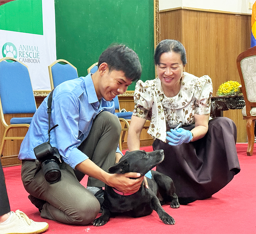 ម្ចាស់សត្វឆ្កែកុំភ្លេចយកទៅចាក់ជំងឺឆ្កែឆ្កួតឥតគិតថ្លៃ នៅទីតាំងចំនួន៣ធំៗ